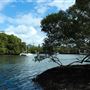 Curlew Park - Cabbage Tree Creek