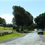 Curlew Park - Cabbage Tree Creek