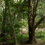 Enoggera Reservoir