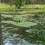 Enoggera Reservoir