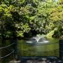 Rainforest Gardens