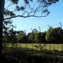 Rural Rainforest and High Fence