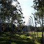 Rural Rainforest and High Fence