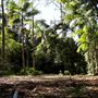 Palm Grove Property