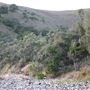 Kemp Beach and Bluff Point Scenic Walk