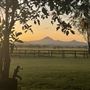 Allenview