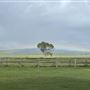 Allenview