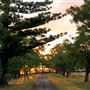 Jimbour House - Heritage-listed Homestead