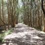 Gold Coast - Coombabah Lakelands