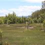 Coombabah Lakelands Conservation Area - Open Field & Forest