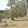 Stockyard Creek