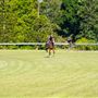Fenwick Farm