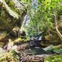 Sandstone Park Carnarvon Gorge