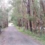 Backlot 97 Kerkin Road Nth