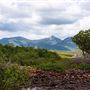 Mount Larcom