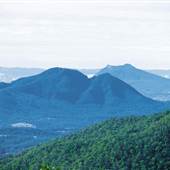 Main Range National Park