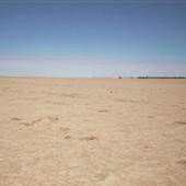 Quilpie Clay Pans