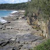 Noosa - Tea Tree Beach Area