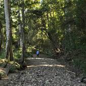 The Backlot, Bonogin - Dry River Bed