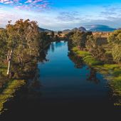 Meandering Creek & Lush Wetlands - Hedlow Creek