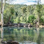 Upper Stoney Creek - Byfield National Park