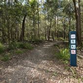 Toohey Forest Park (incl. Mount Gravatt Outlook Reserve) - Overview