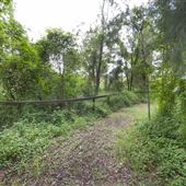 Blue Gum Reserve