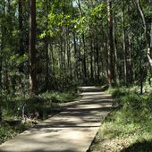 Daisy Hill Conservation Park
