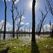 Lake Awoonga