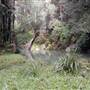 Austinville Rock Pools