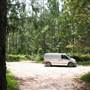 Coochin Creek - Pine Plantation / Qld State Forest