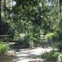 Bellbird Grove - D'Anguilar National Park