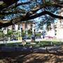 St Patrick's Church, Fortitude Valley