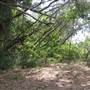Cairns Region - Bramston Beach