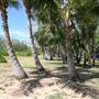 Cairns Region - Bramston Beach