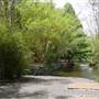 Mt Coot-tha Botanical Gardens