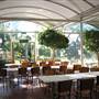 Mt Coot-tha Botanical Gardens