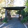 Mt Coot-tha Botanical Gardens
