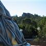 Mt Coot-tha Botanical Gardens