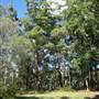 Camp Mountain Lookout