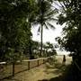 Mackay Region - Cape Hillsborough National Park