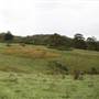 Cedar Glen Farmstay
