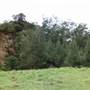 Cedar Glen Farmstay