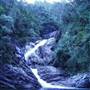 Whitsundays - Finch Hatton Gorge