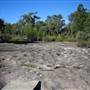 Warwick Region - Girraween National Park
