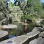 Warwick Region - Girraween National Park