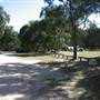 Warwick Region - Girraween National Park