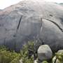 Warwick Region - Girraween National Park