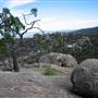 Warwick Region - Girraween National Park