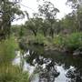Warwick Region - Girraween National Park